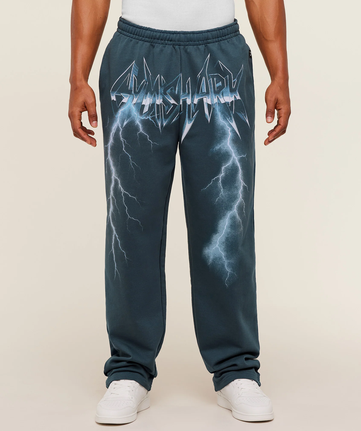 Eagle Band Style Graphic Straight Leg Pants Regular Fit