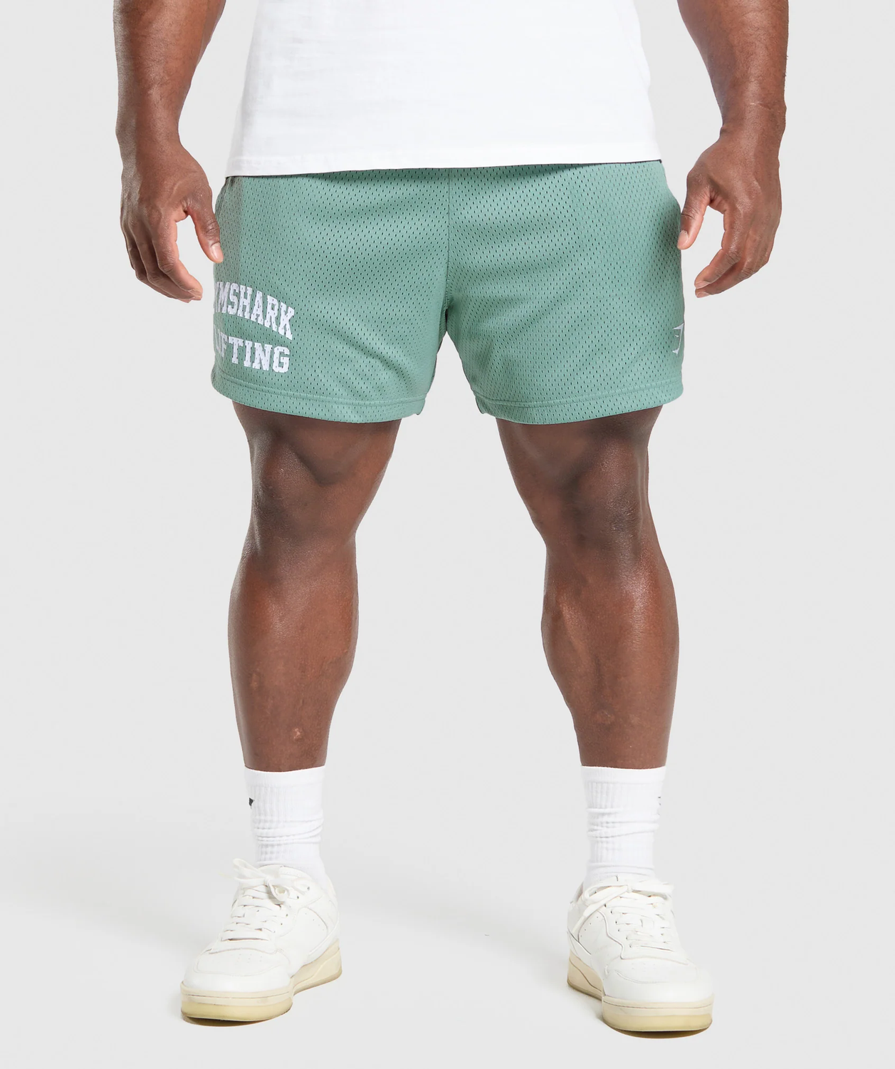 Lifting Mesh 5" Shorts Regular Fit