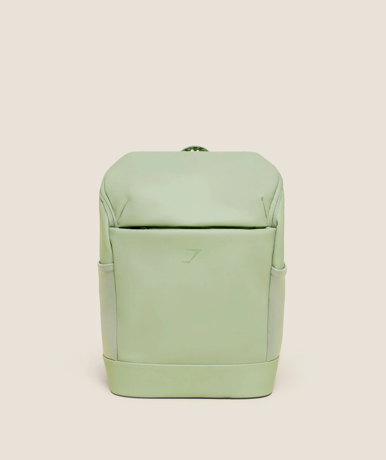 Small Sleek Backpack